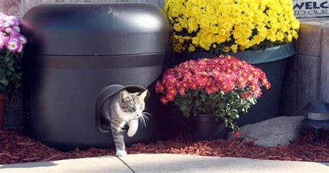 lollyporn|Kitty Porn Tube .